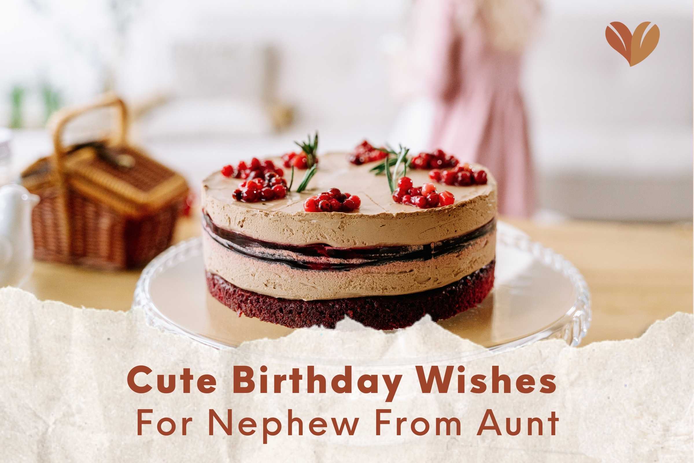Aunt's love shines through: ultimate birthday wishes for her beloved nephew.