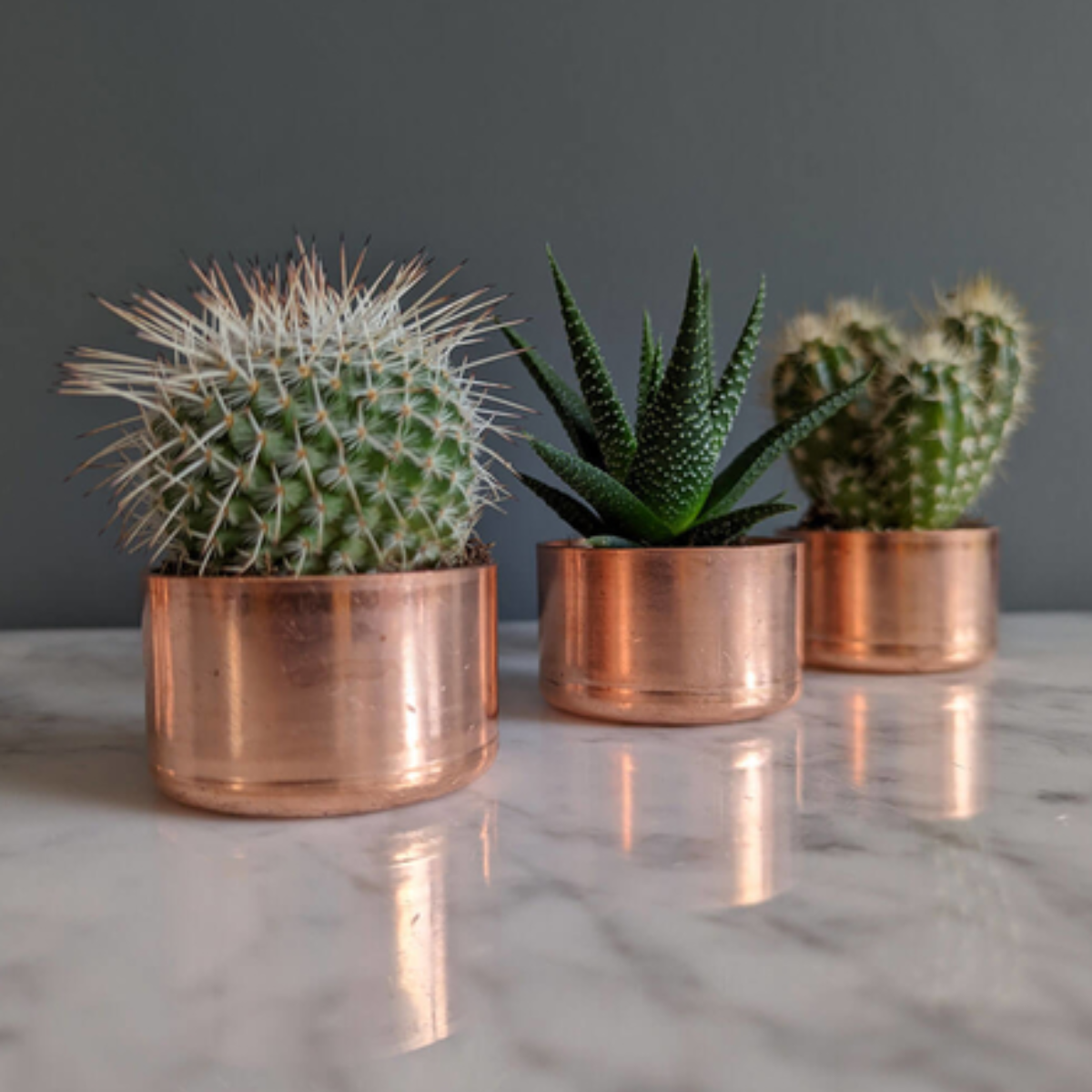 28. Celebrate 8 Years of Love with a Stunning Copper Plant Pot and Succulent