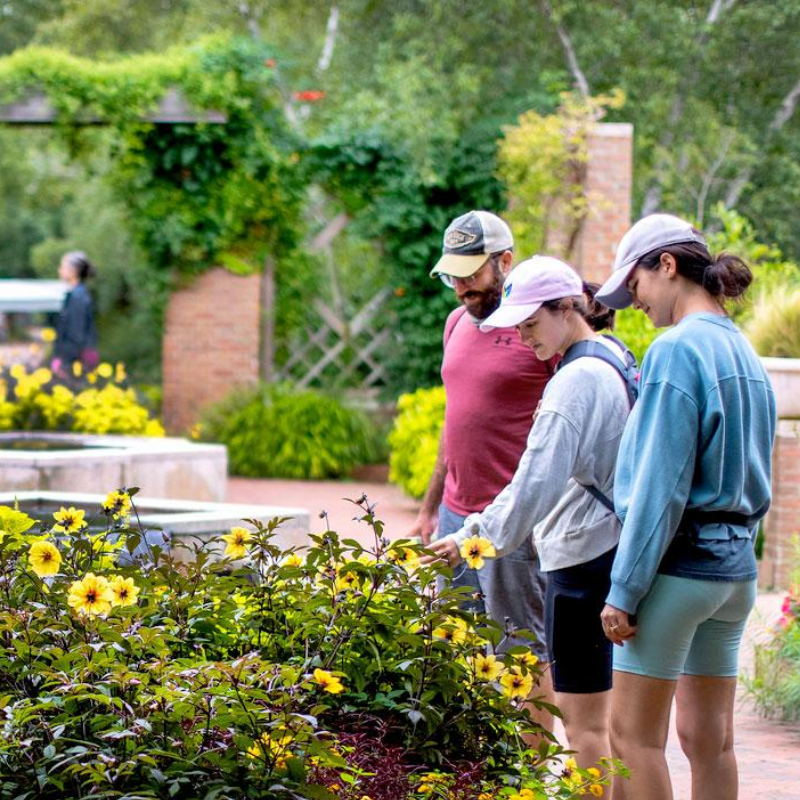 43. Give the Gift of Everlasting Memories with a Botanical Garden Membership