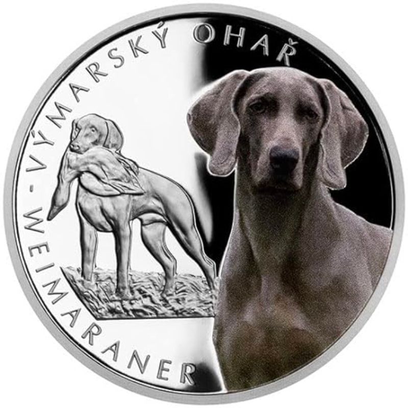 Capture the Spirit of your Furry Friend with Dog Breed Collectors Coins