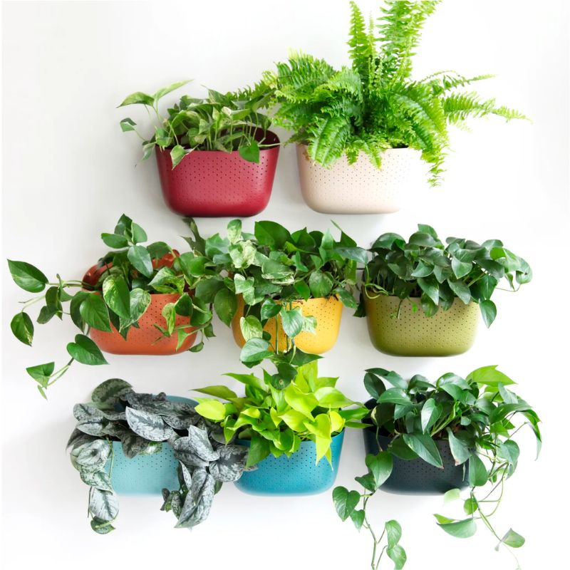Spruce up Your Secret Santa with a Unique Vertical Wall Planter Gift