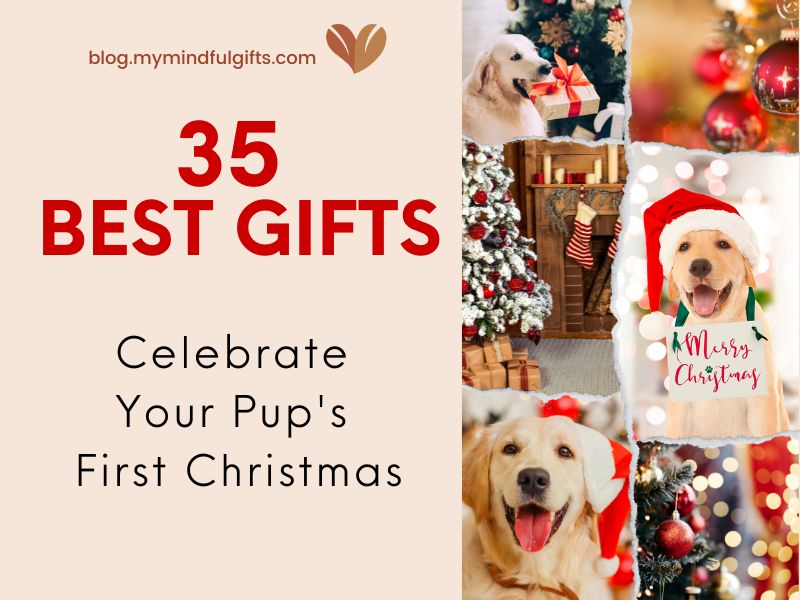 Best Christmas Gifts for Dogs 2023