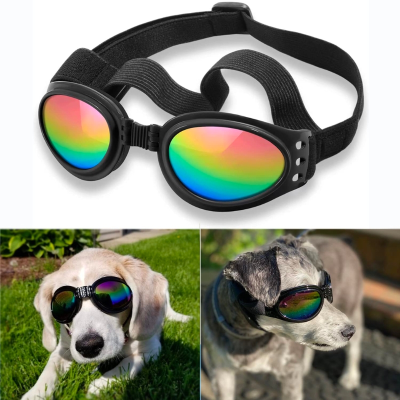 Custom Dog Swim Goggles