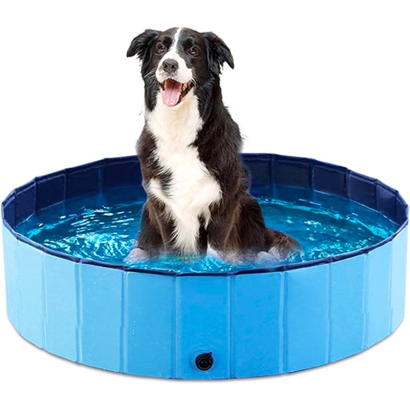 Personalized Dog Swim Collapsible Bowl