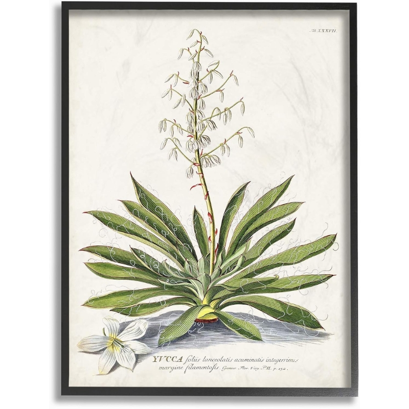 Botanical Illustration Framed Prints Set