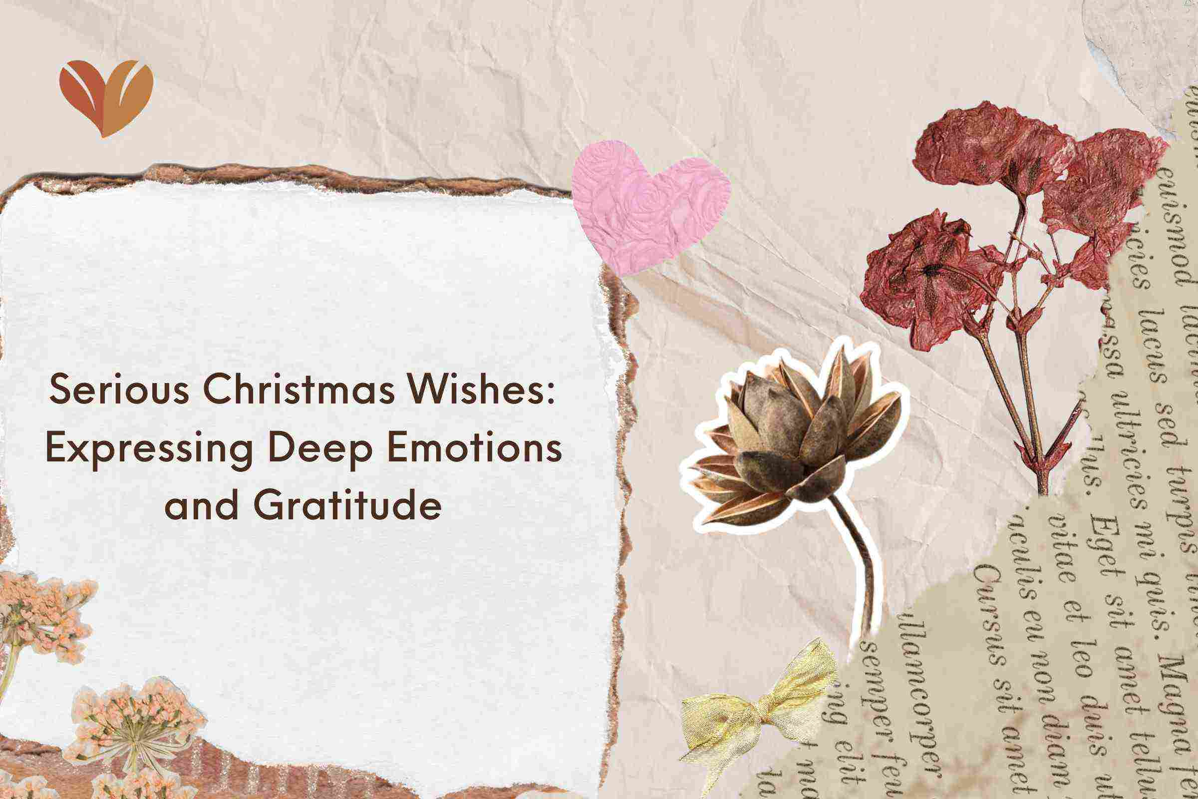 Serious Christmas Wishes: Expressing Deep Emotions and Gratitude